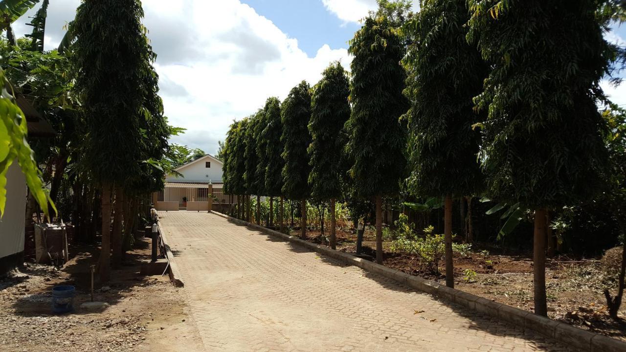 Kilimanjaro Country House Moshi Exteriör bild